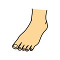 Bare foot, toe, instep, illustration Royalty Free Stock Photo